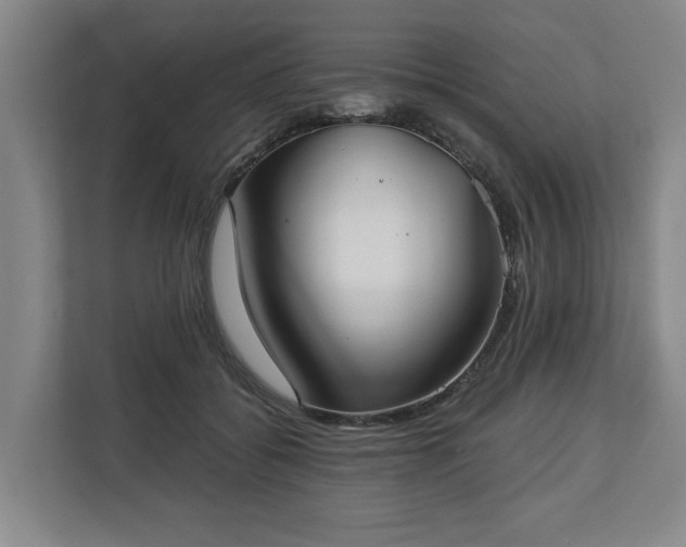X0000113100556200909041228