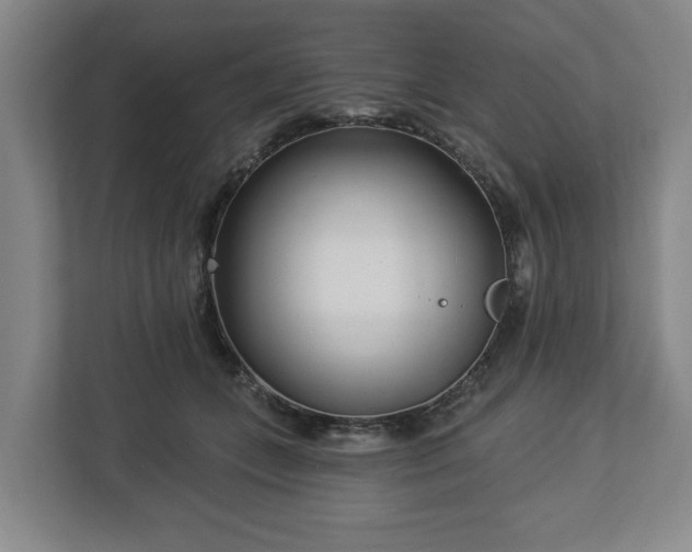 X0000113100559200909041228