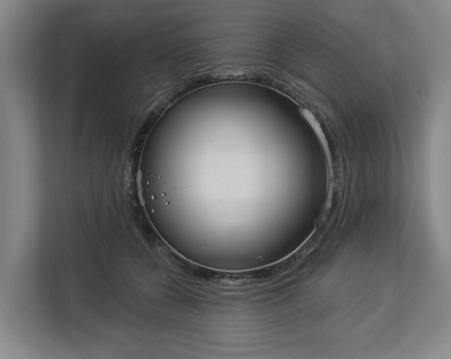 X0000113100560200909041228