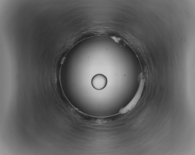 X0000113100562200909041228