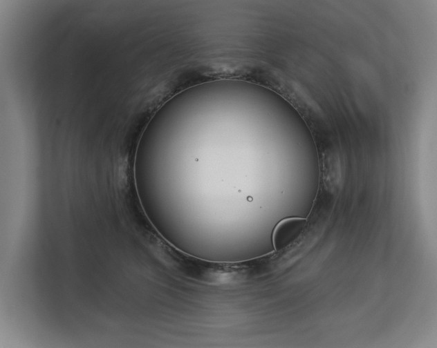X0000113100563200909041228