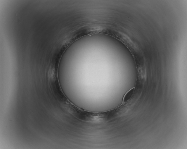 X0000113100564200909041228