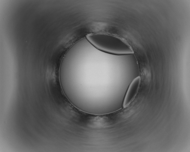 X0000113100566200909041228