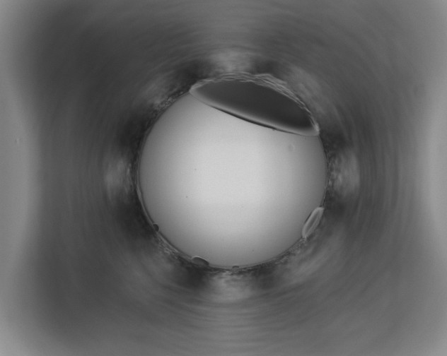X0000113100568200909041228