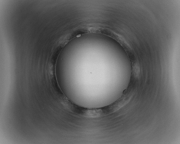 X0000113100571200909041228