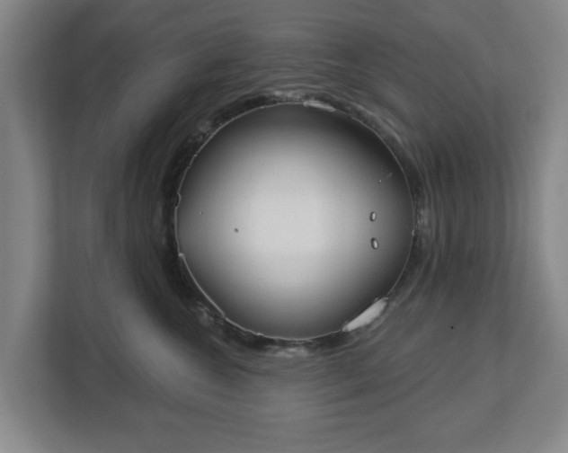 X0000113100572200909041228