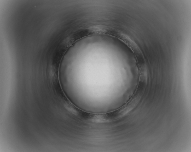 X0000113100573200909041228