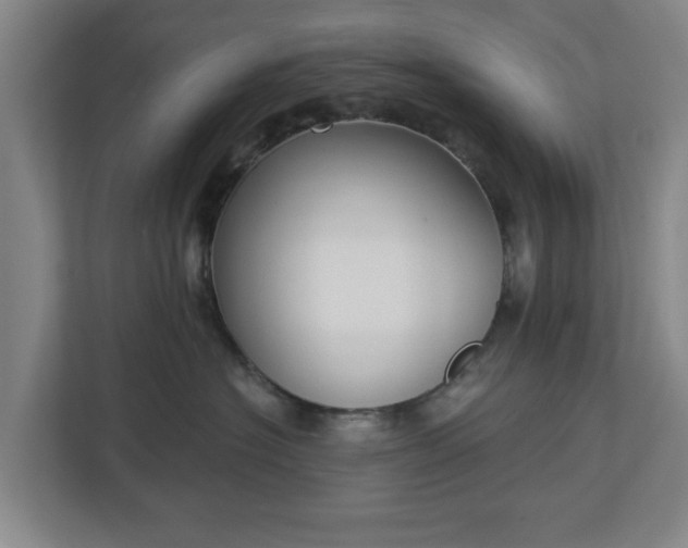 X0000113100574200909041228