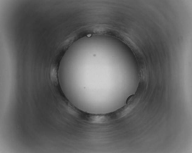 X0000113100575200909041228