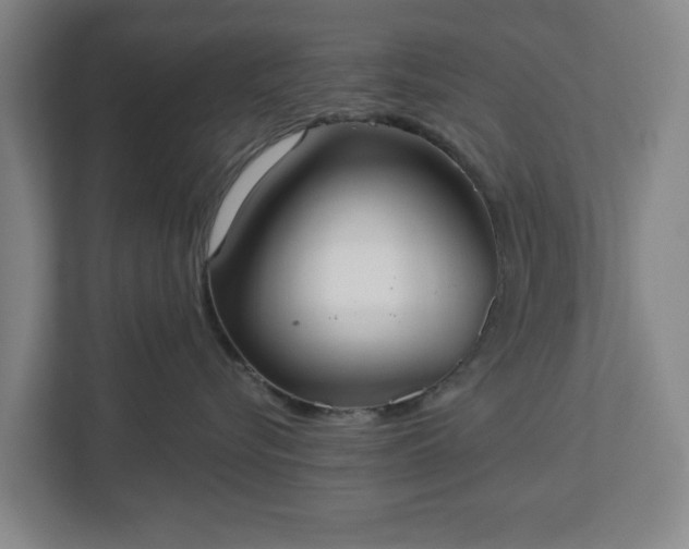 X0000113100576200909041228