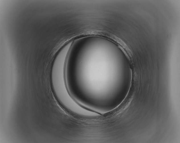 X0000113100577200909041228