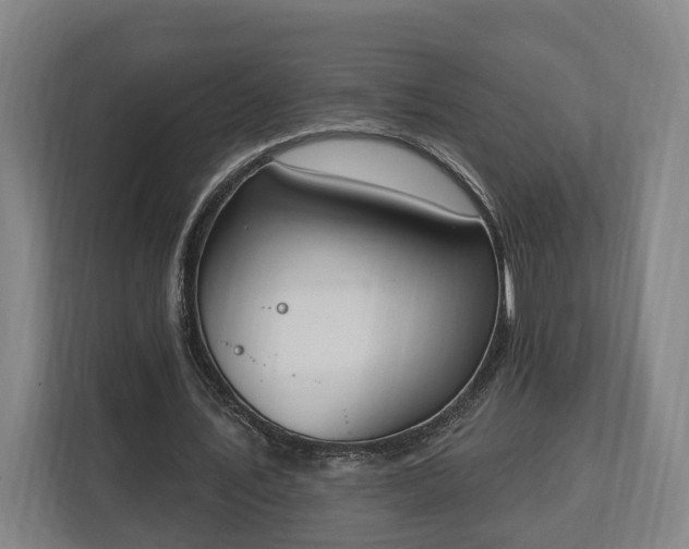 X0000113100579200909041228