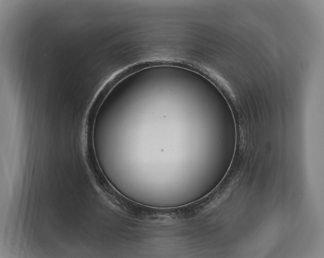 X0000113100580200909041228