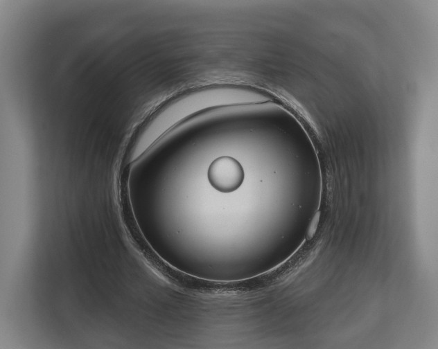 X0000113100581200909041228