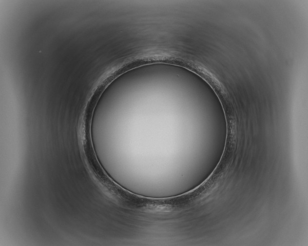 X0000113100582200909041228