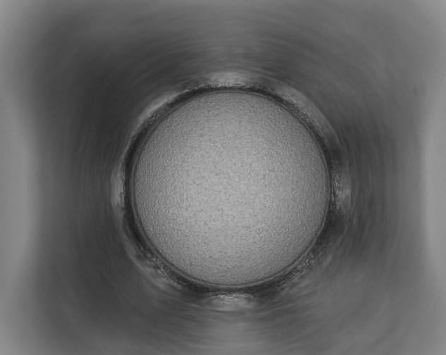 X0000113100583200909041228