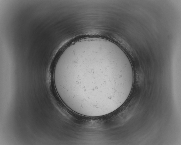 X0000113100584200909041228