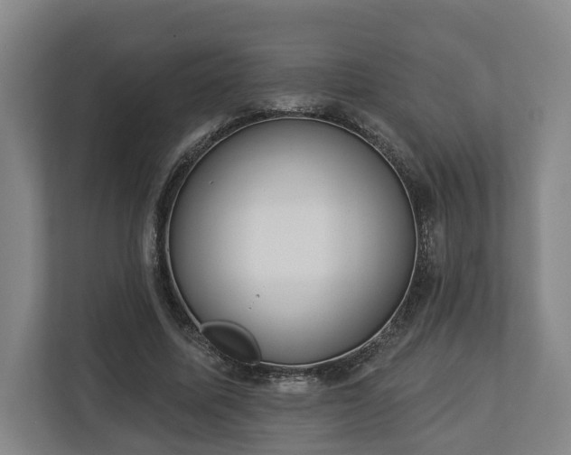 X0000113100587200909041228