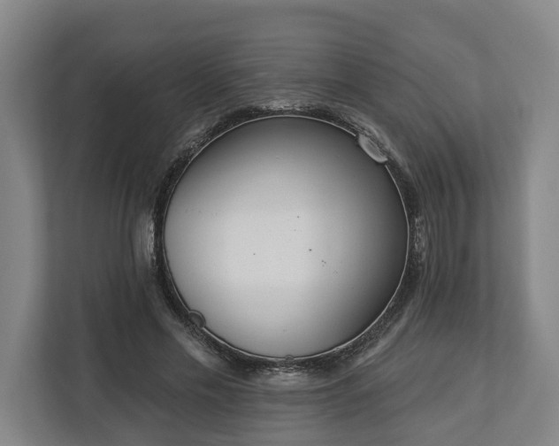 X0000113100589200909041228