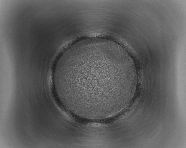 X0000113100590200909041228