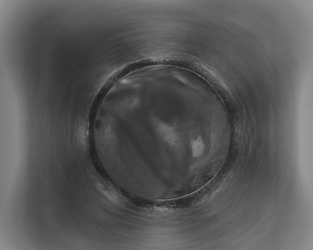 X0000113100592200909041228