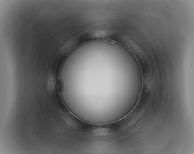 X0000113100593200909041228