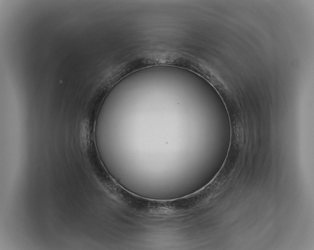 X0000113100594200909041227