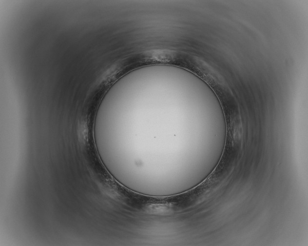 X0000113100595200909041227