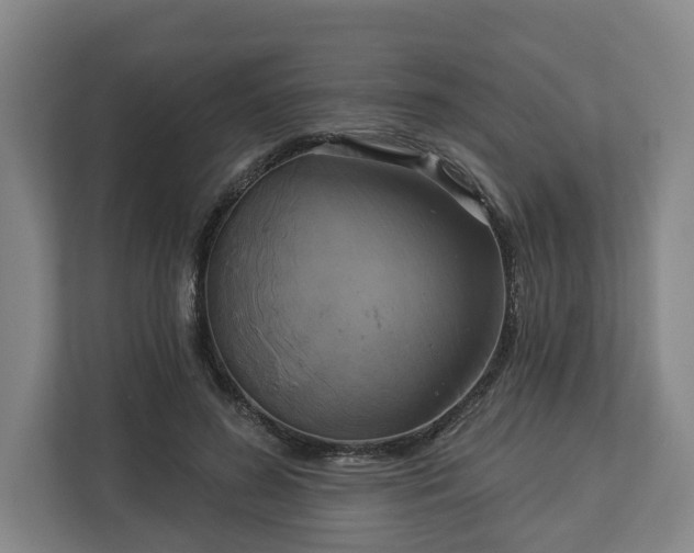 X0000113100596200909041227