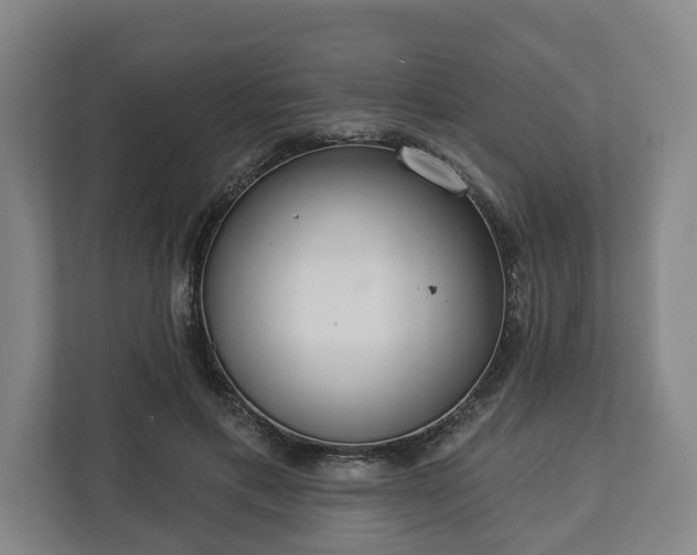 X0000113100597200909041227