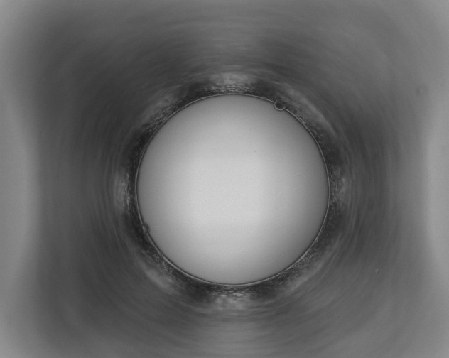 X0000113100599200909041227