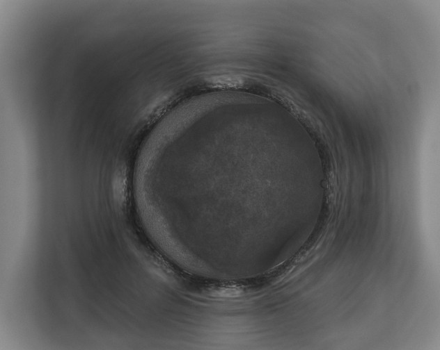 X0000113100600200909041227