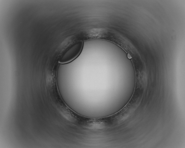 X0000113100601200909041227