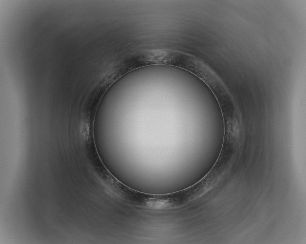 X0000113100602200909041227