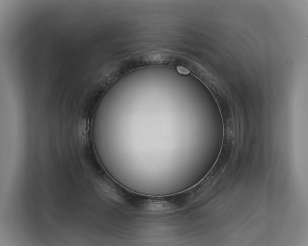 X0000113100605200909041227