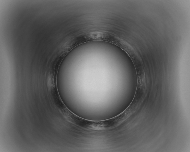 X0000113100606200909041227