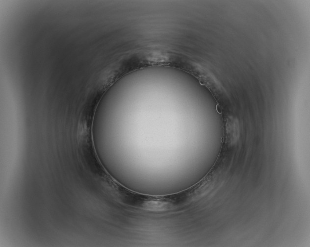 X0000113100614200909041227