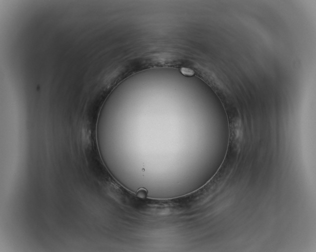 X0000113100615200909041227