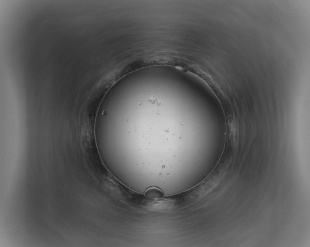 X0000113100617200909041227