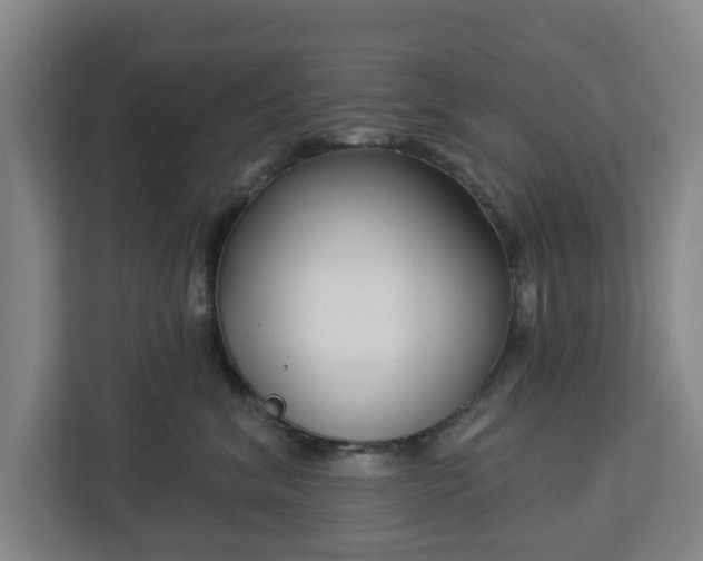 X0000113100620200909041227