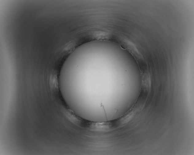 X0000113100622200909041227
