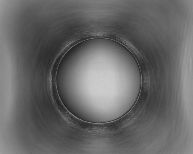 X0000113100626200909041227