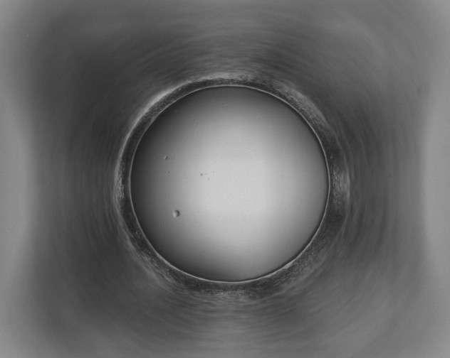 X0000113100628200909041227