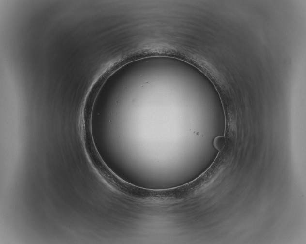 X0000113100630200909041227