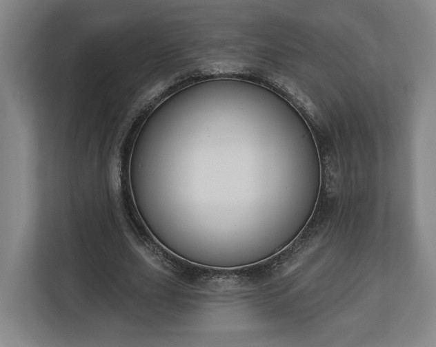 X0000113100631200909041227