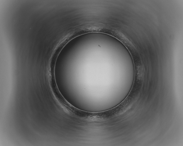 X0000113100634200909041227