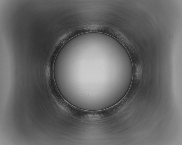 X0000113100636200909041227
