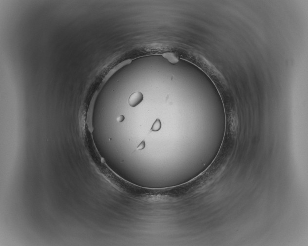 X0000113100637200909041227
