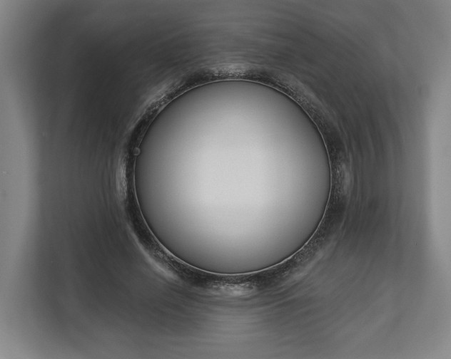 X0000113100638200909041227