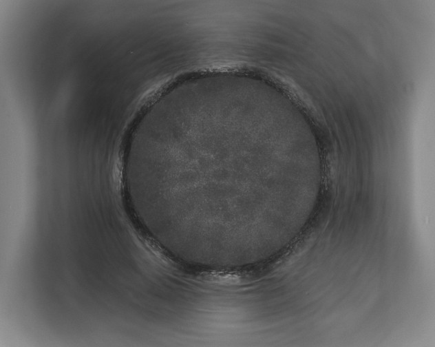 X0000113100640200909041227